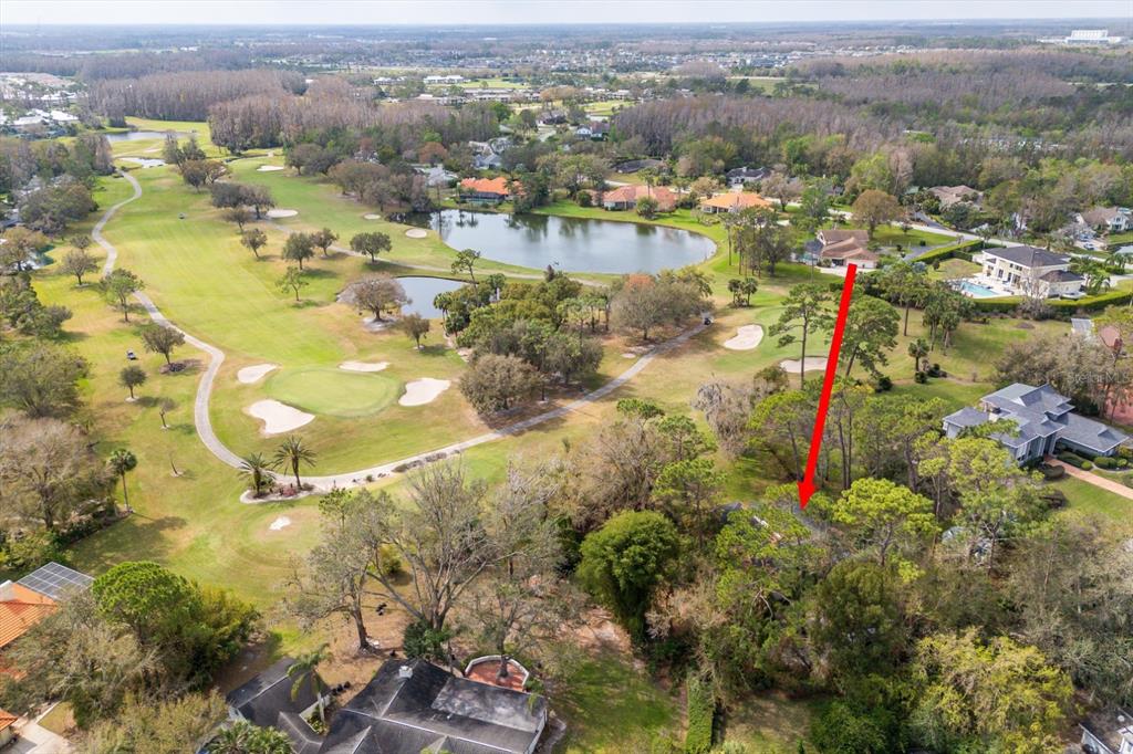 29318 Whippoorwill Lane Wesley Chapel, FL 33543 - Photo 35 of 38 a view of a city