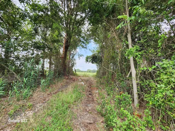 $7,118,253 | 40224 Farm To Market Road 1488, Hempstead, TX 77445
