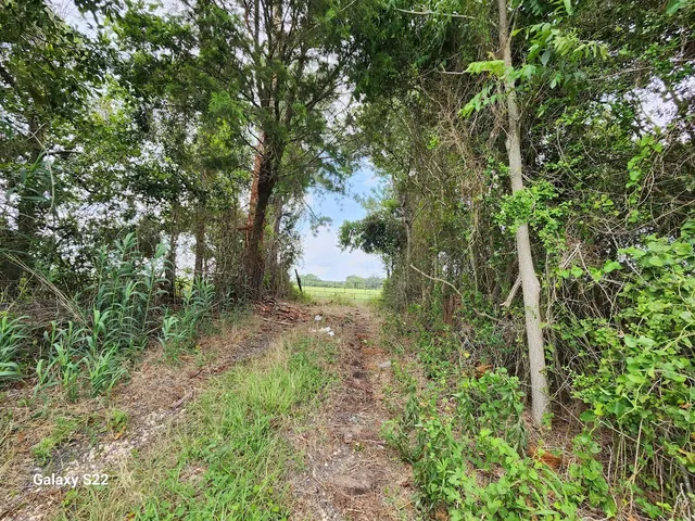 $7,118,253 | 40224 Farm To Market Road 1488, Hempstead, TX 77445