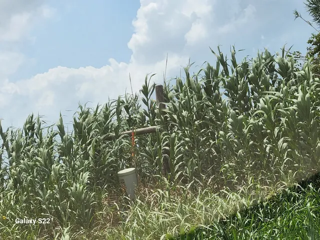 $7,118,253 | 40224 Farm To Market Road 1488, Hempstead, TX 77445