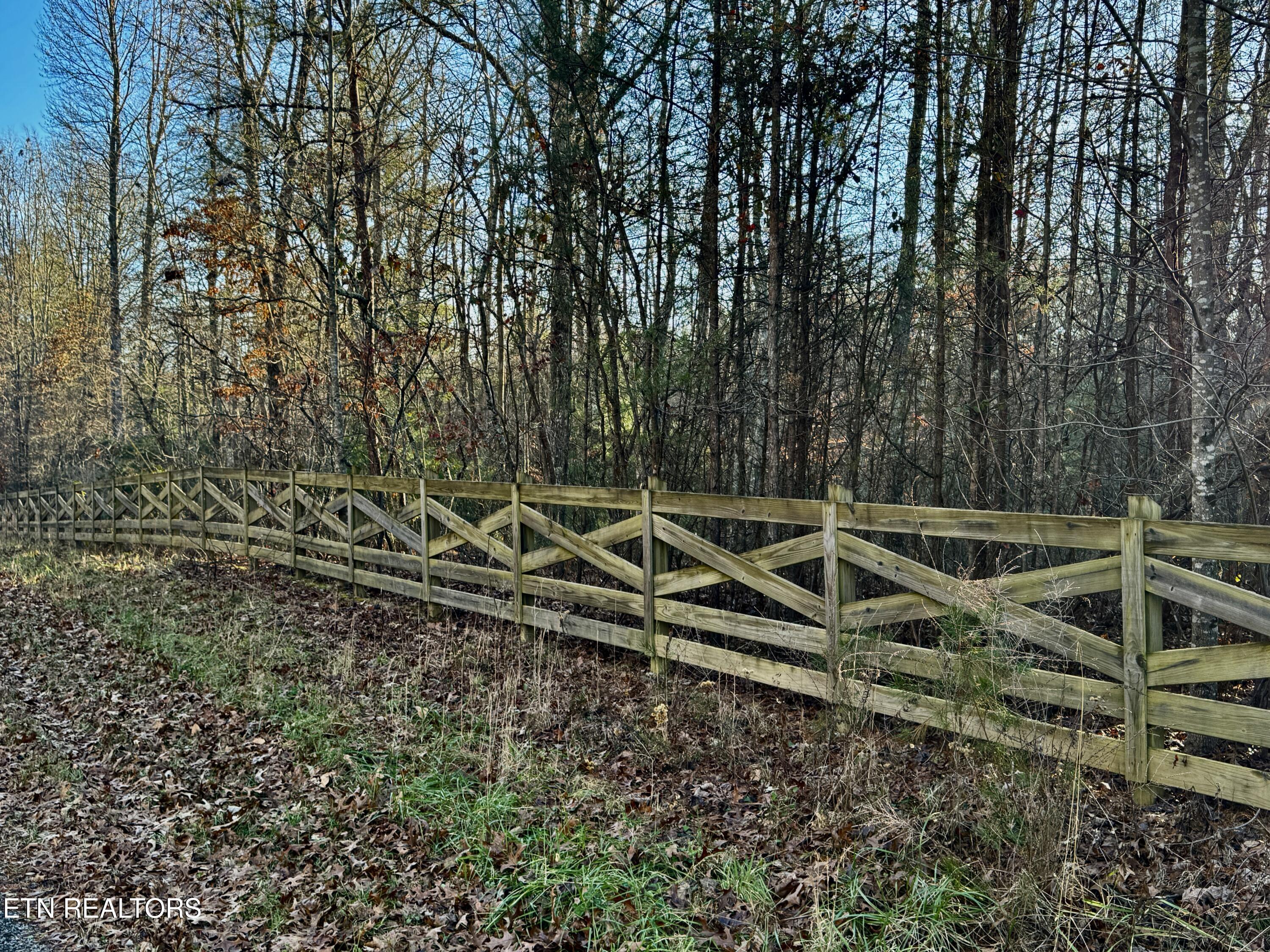 George Drive Deer Lodge, TN 37726 - Photo 3 of 10 2-4