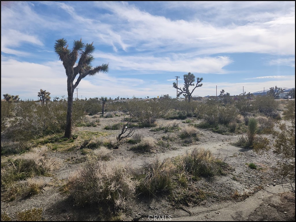 0 Duncan Road Pinon Hills, CA 92372 - Photo 6 of 11