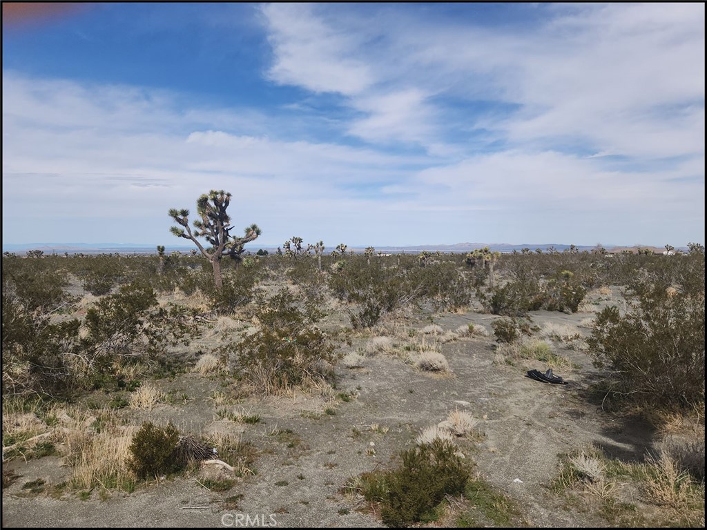0 Duncan Road Pinon Hills, CA 92372 - Photo 7 of 11