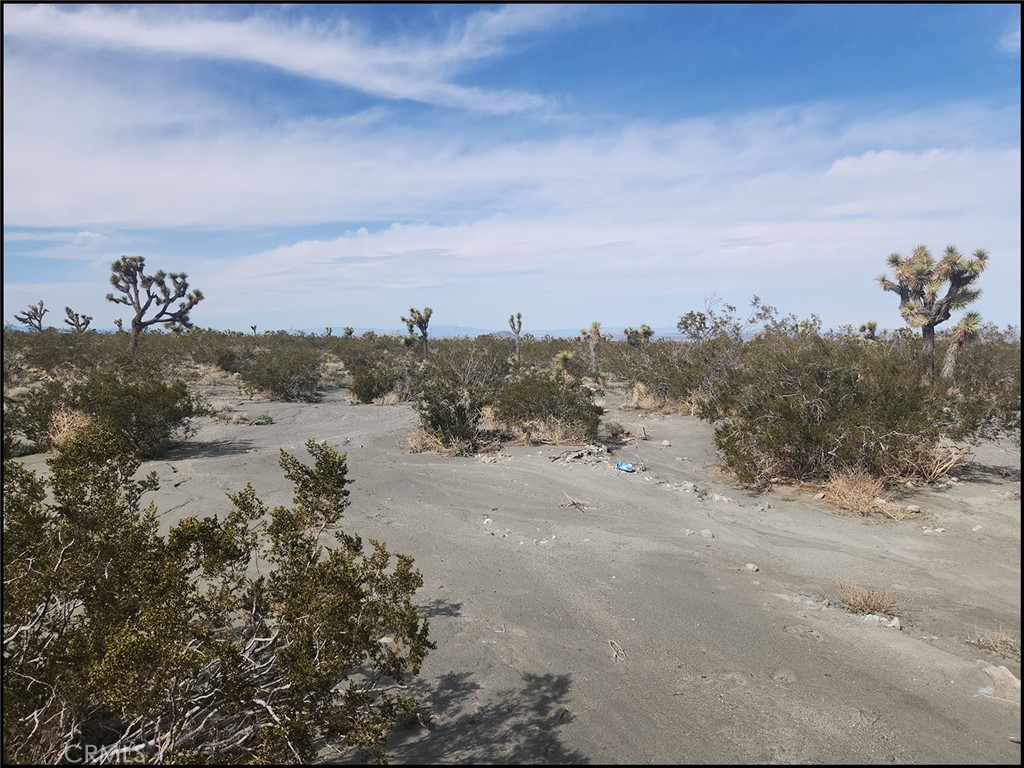 0 Duncan Road Pinon Hills, CA 92372 - Photo 8 of 11