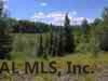 Bateman Road Bakers Mills, NY 12811 - Photo 2 of 4 Photo 2