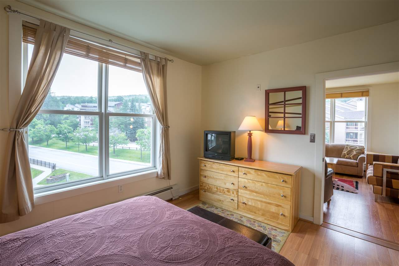 771 Stratton Mountain Road, Unit S 466 Stratton, VT 05155 - Photo 10 of 12