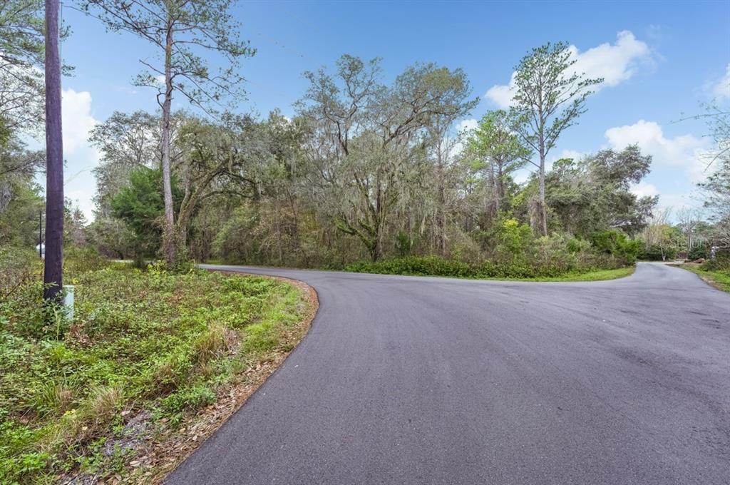 Gold Hill Road Brooksville, FL 34604 - Photo 16 of 25 Gallery Image 16