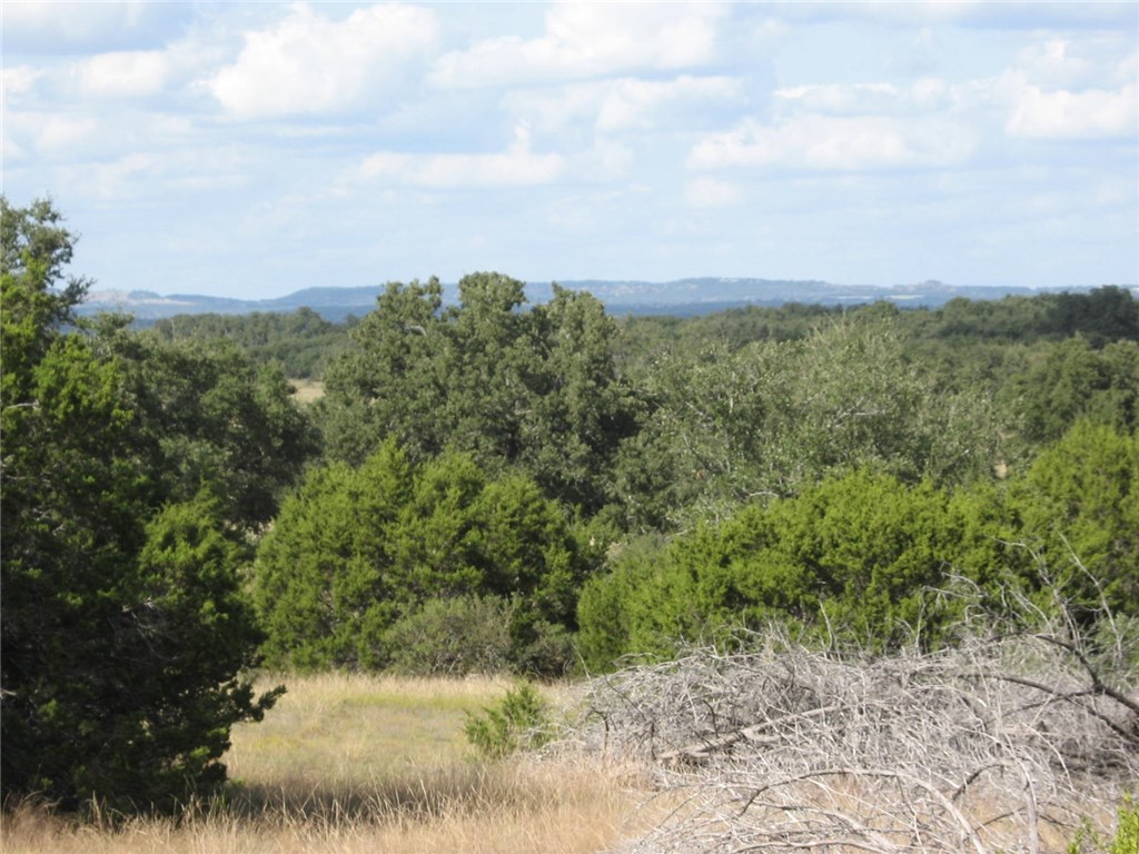 Lot 6 West Waterhole Road Johnson City, TX 78636 - Photo 1 of 1