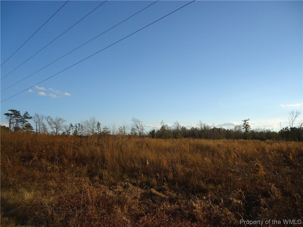 6.9-ac Colonial Trail West Dendron, VA 23839 - Photo 21 of 23 Gallery Image 21