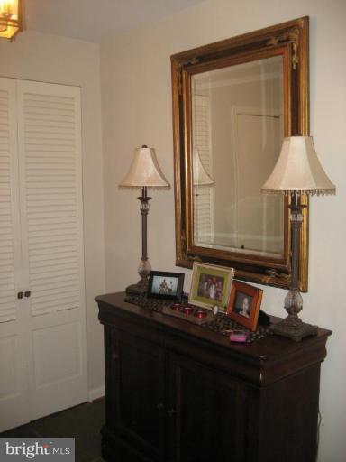 709 Stone Barn Road Towson, MD 21286 - Photo 3 of 23 Stone Foyer