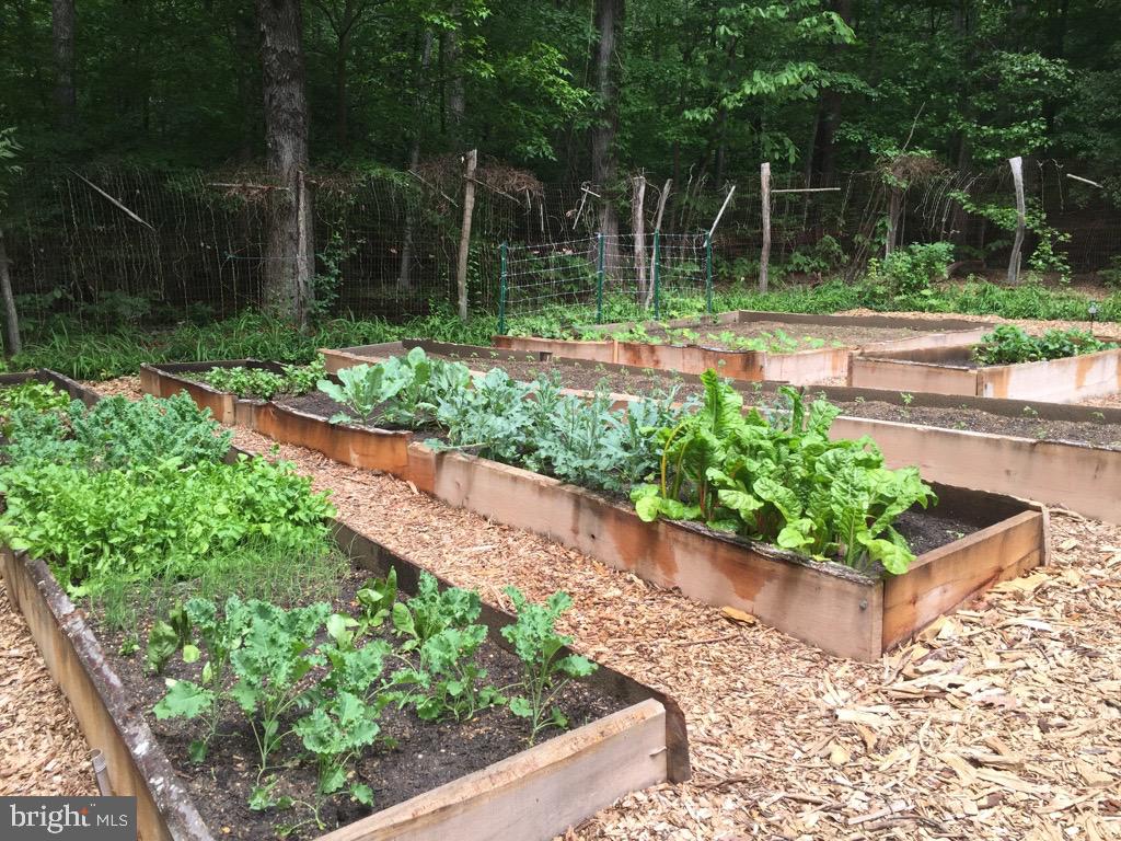 6840 Steamboat Landing Road Accokeek, MD 20607 - Photo 65 of 66 Raised garden beds