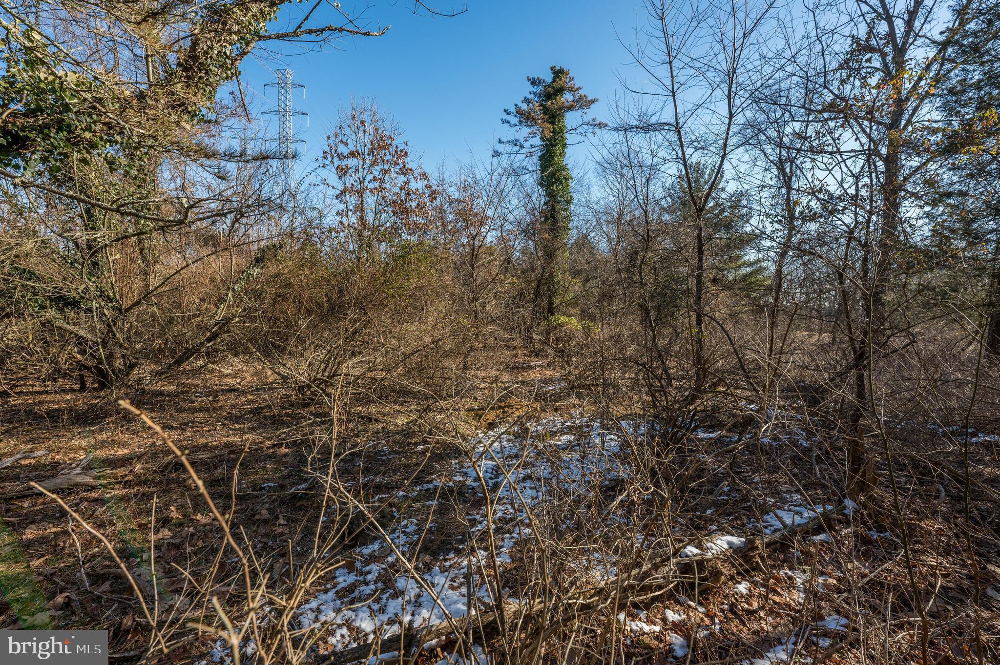 365 Creek Road Delran, NJ 08075 - Photo 17 of 30 a view of a forest