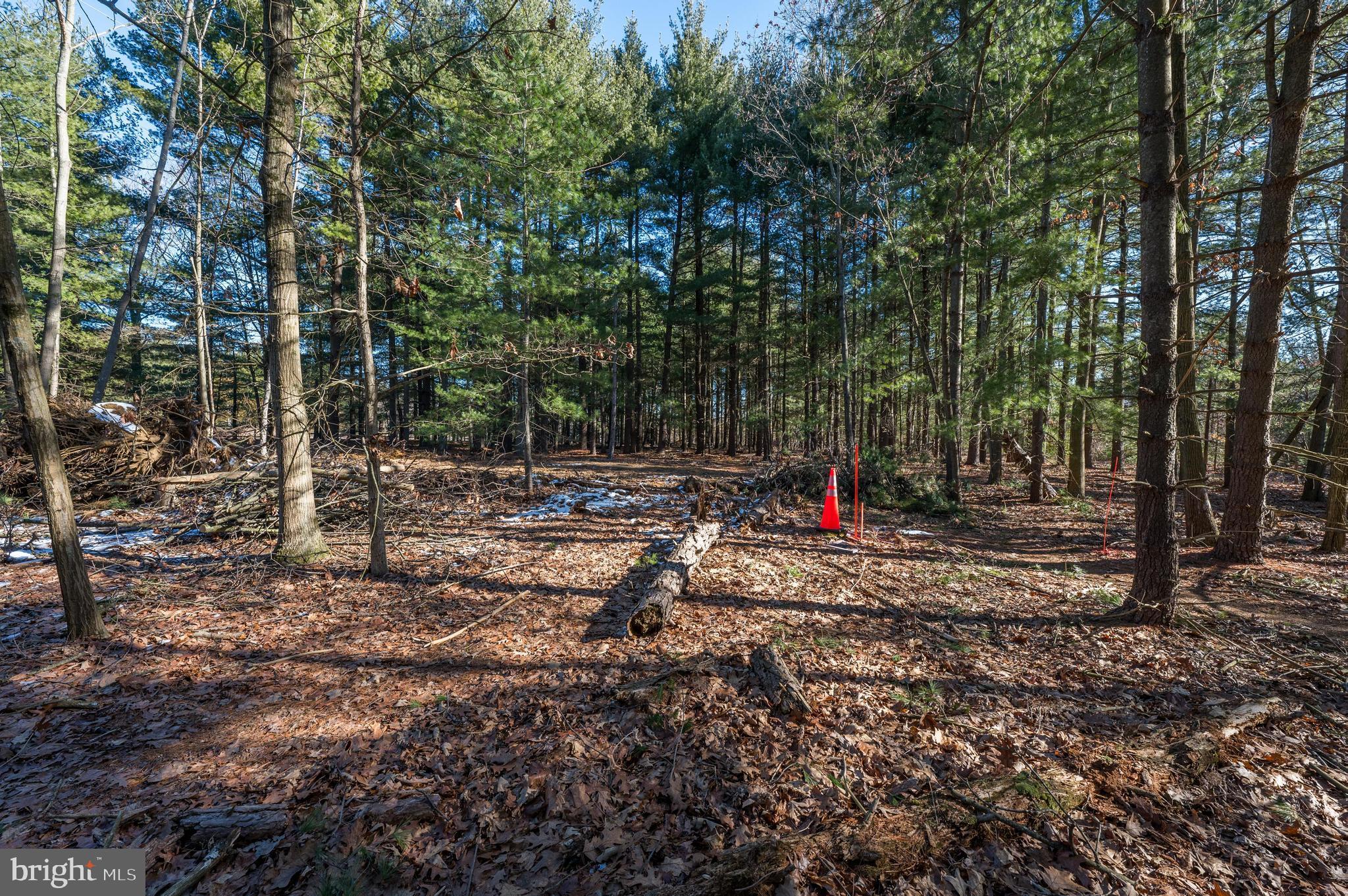 365 Creek Road Delran, NJ 08075 - Photo 24 of 30 a backyard of a house with lots of green space