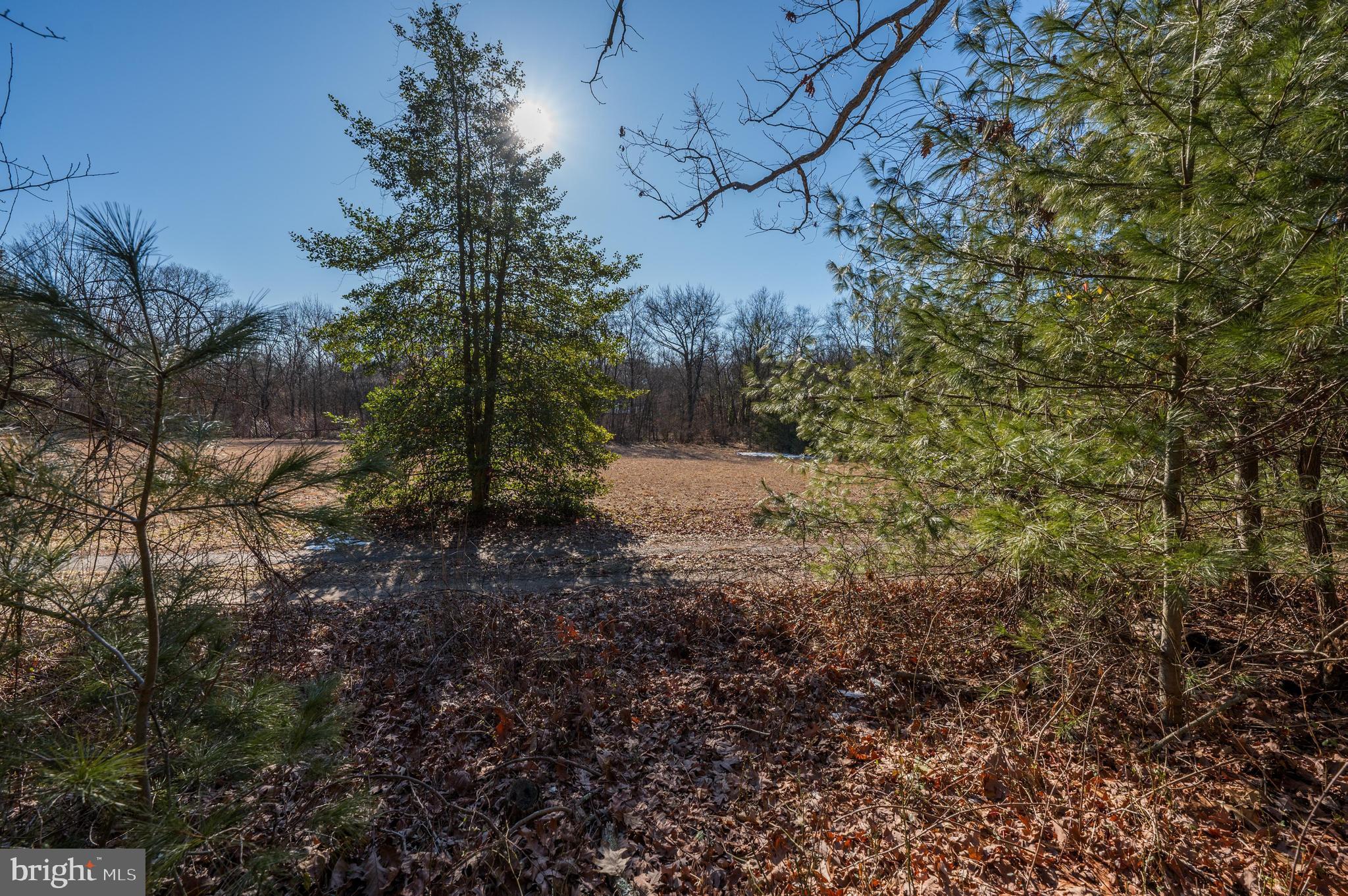 365 Creek Road Delran, NJ 08075 - Photo 10 of 30 a view of a yard with a tree