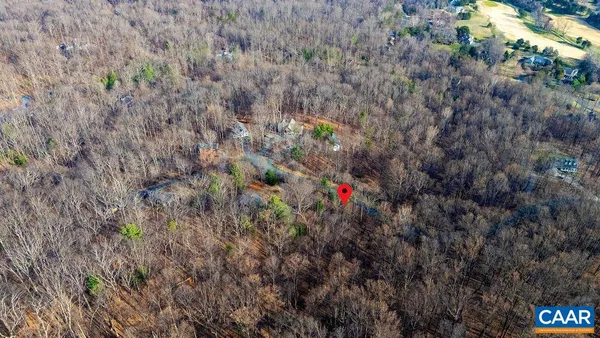a view of street from a tree