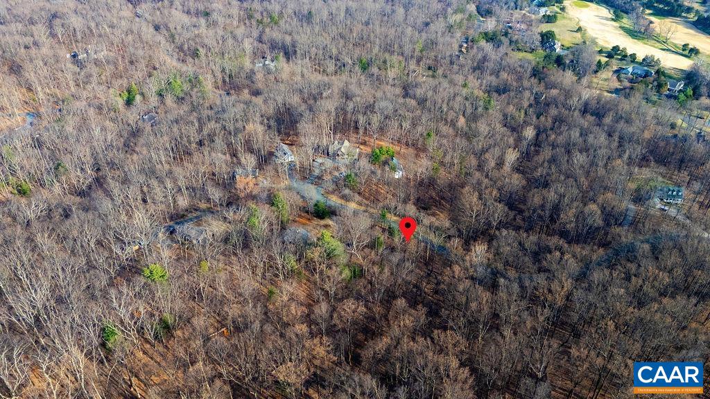 Lot 28 Stone Chimneys Road Nellysford, VA 22958 - Photo 13 of 16 a view of a flower in a garden