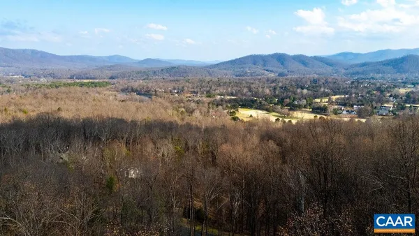 a view of a forest with trees in the background