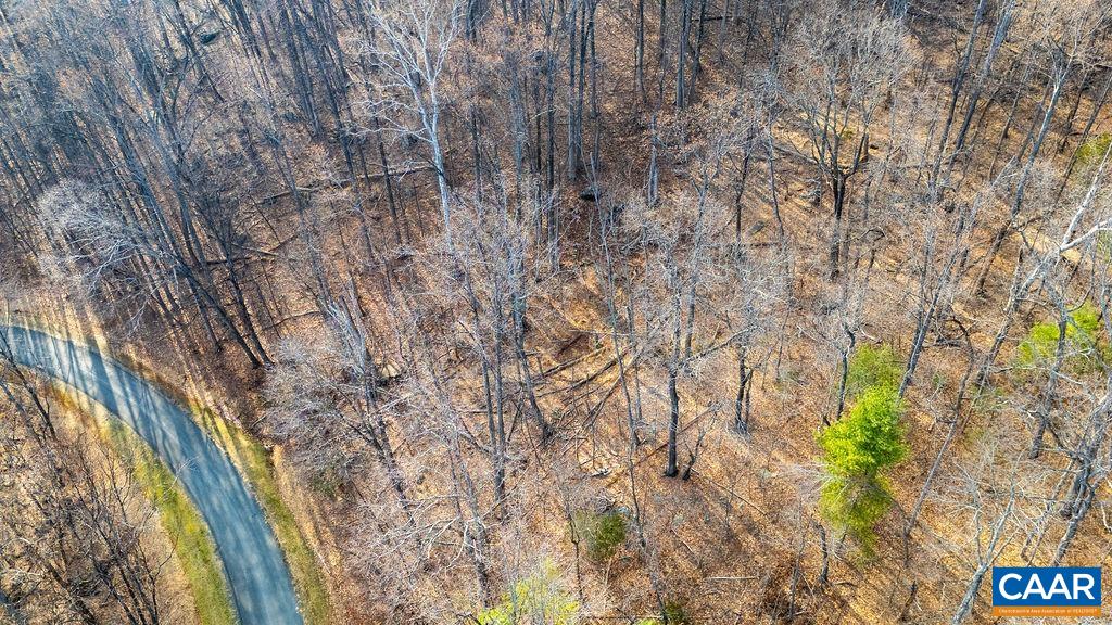 Lot 28 Stone Chimneys Road Nellysford, VA 22958 - Photo 16 of 16 a view of a forest with trees in the background