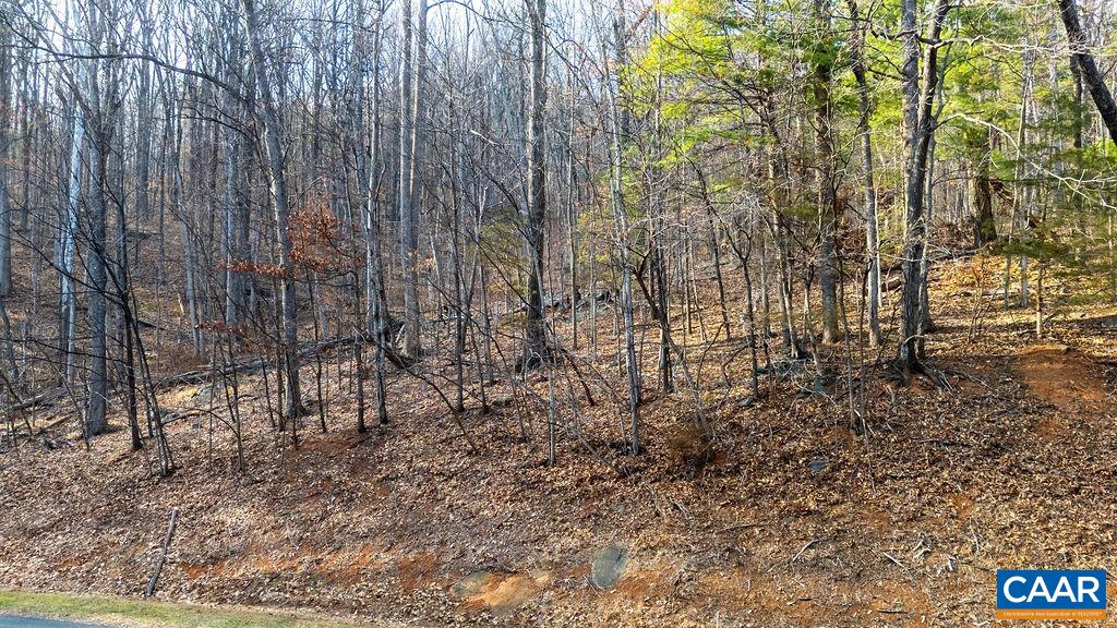Lot 28 Stone Chimneys Road Nellysford, VA 22958 - Photo 4 of 16 a view of a yard with plants and wooden fence