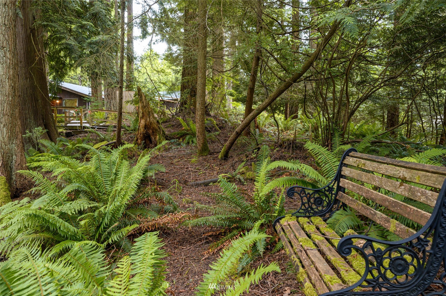 118 Sudden Valley Drive Bellingham, WA 98229 - Photo 25 of 35 a view of yard with green space