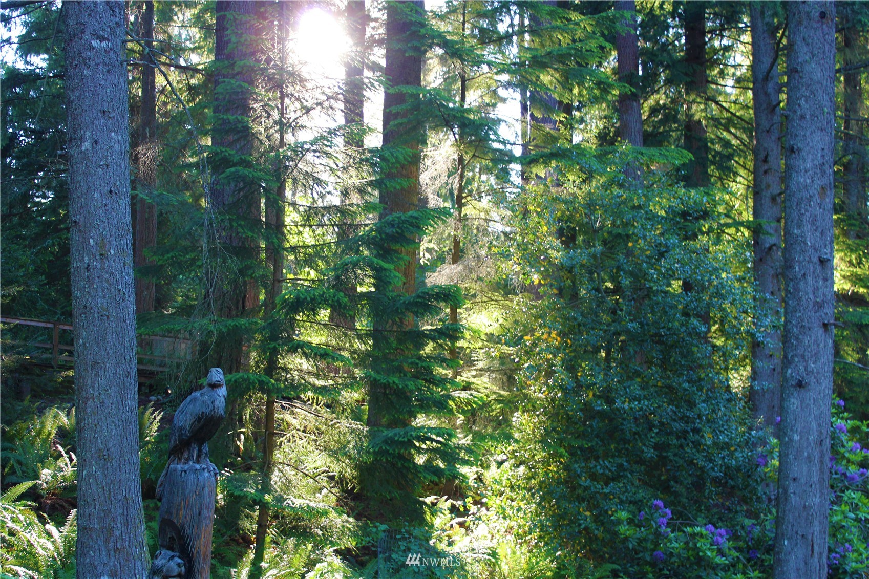 118 Sudden Valley Drive Bellingham, WA 98229 - Photo 27 of 35 a view of a tree with plants