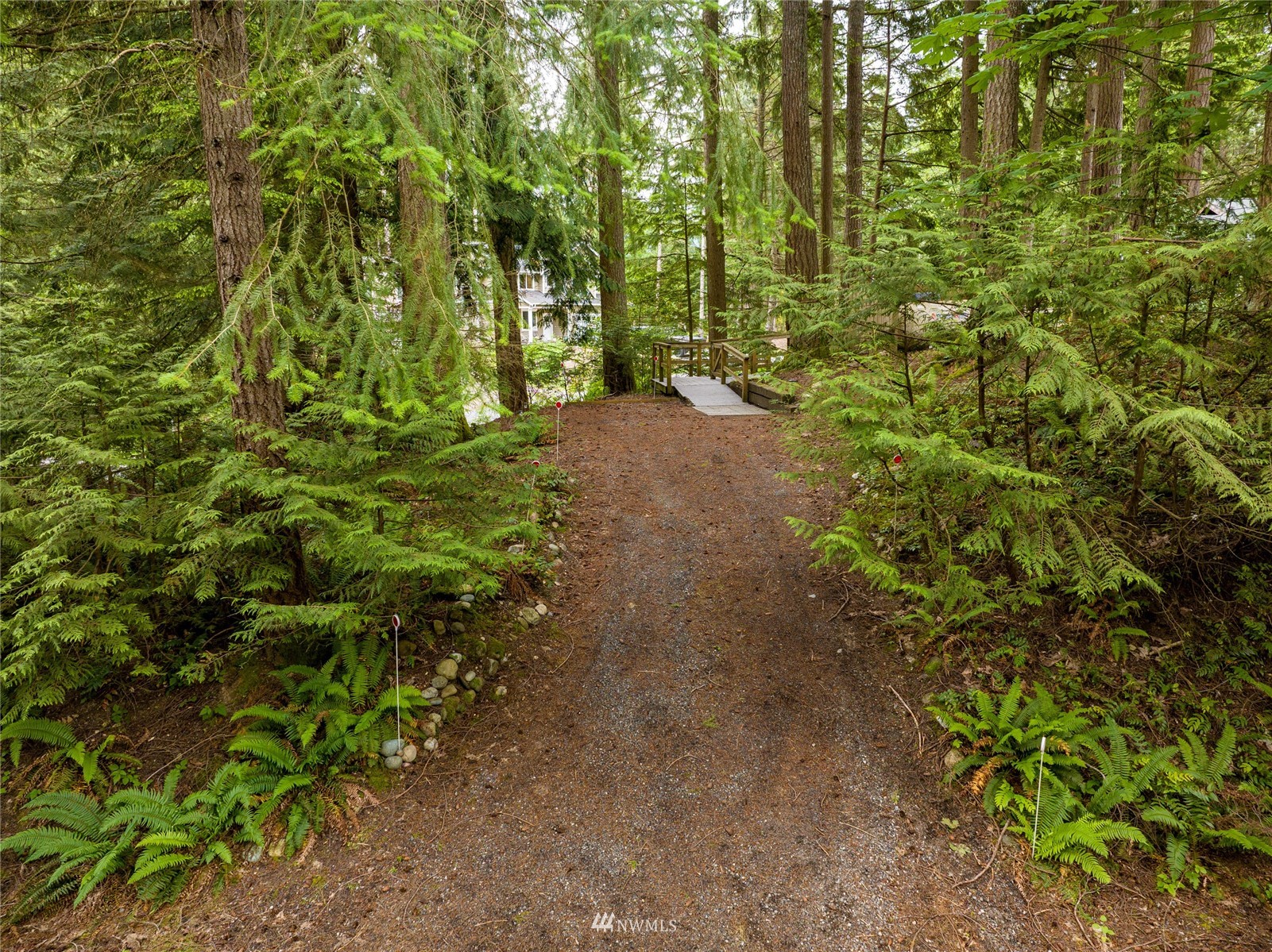 118 Sudden Valley Drive Bellingham, WA 98229 - Photo 28 of 35 a close up of a plant in a garden