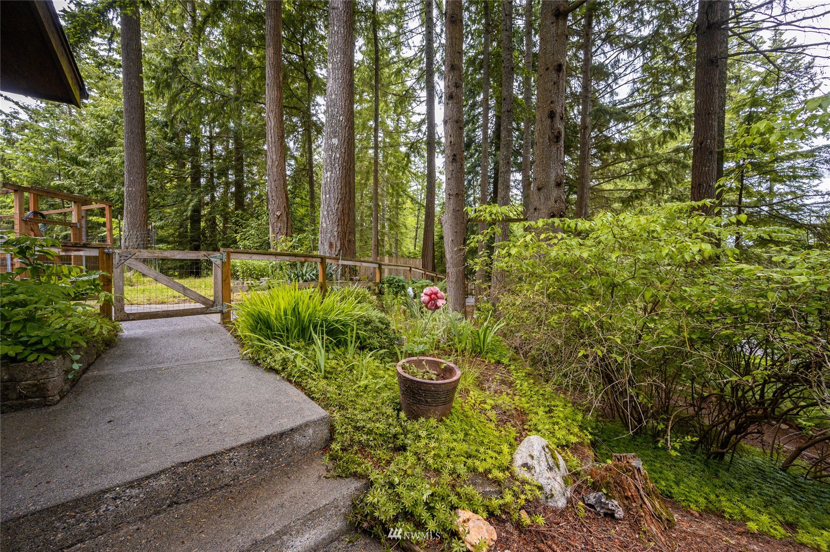 118 Sudden Valley Drive Bellingham, WA 98229 - Photo 5 of 35 a view of a garden with plants