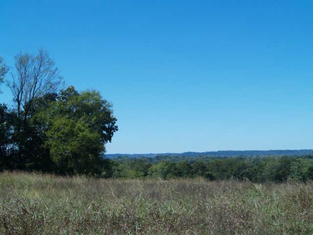 18 Old Tva Road Columbia, TN 38401 - Photo 11 of 19 Gallery Image 11