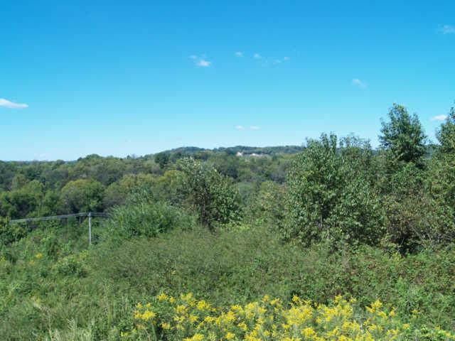 18 Old Tva Road Columbia, TN 38401 - Photo 5 of 19 Gallery Image 5