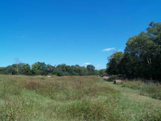 18 Old Tva Road Columbia, TN 38401 - Photo 7 of 19 Gallery Image 7