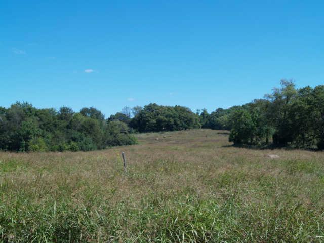 18 Old Tva Road Columbia, TN 38401 - Photo 8 of 19 Gallery Image 8