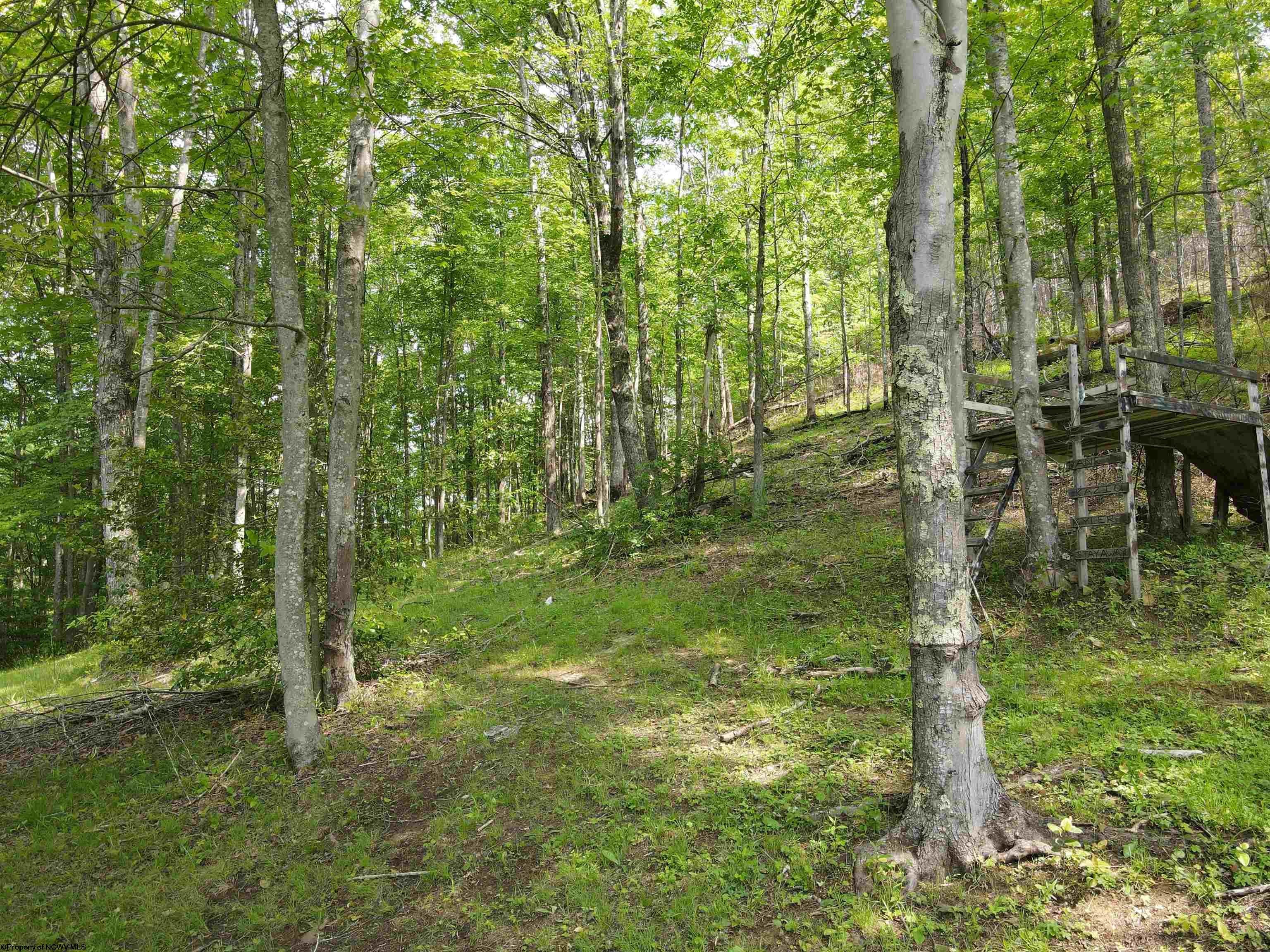 99 Gaines Road Rock Cave, WV 26234 - Photo 14 of 49 Gallery Image 14