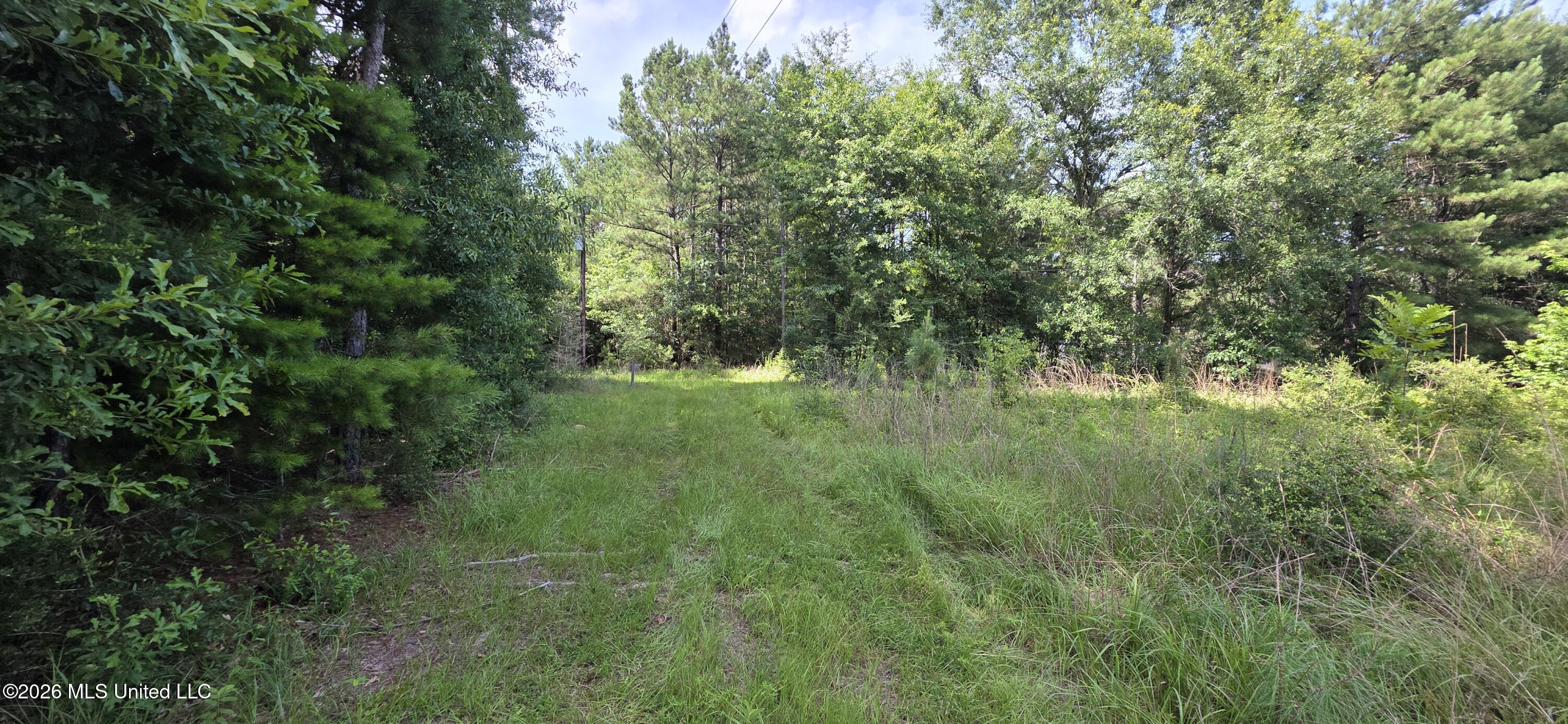 2046 Barto Leggett Road McComb, MS 39648 - Photo 14 of 29 20260623_160222