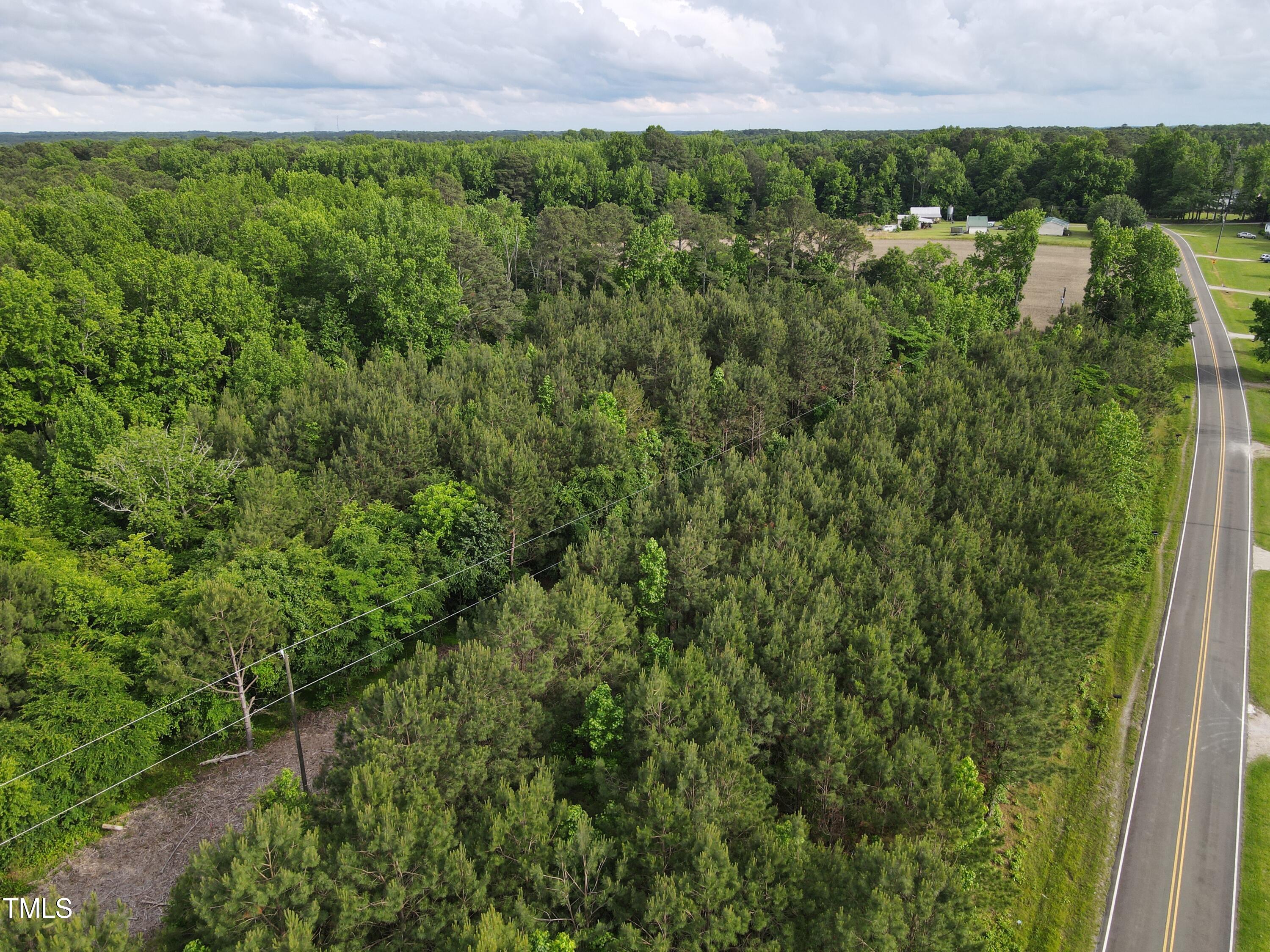 1 P G Pearce Road Zebulon, NC 27597 - Photo 4 of 4 a view of a garden with a houses