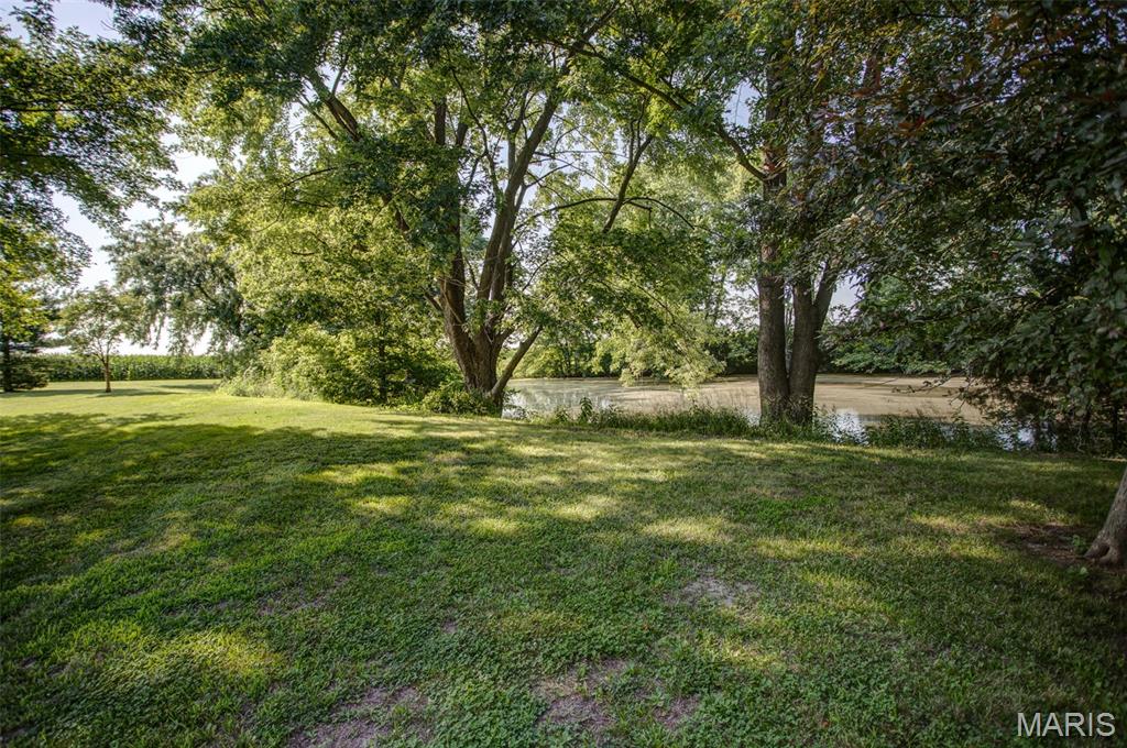 6063 Seiler Road Dorsey, IL 62021 - Photo 18 of 80