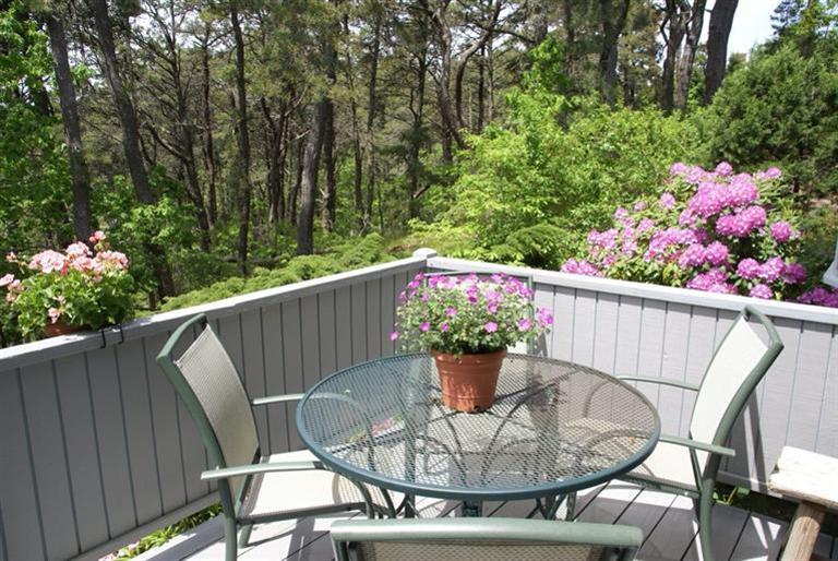 409 Orleans Road, Unit D North Chatham, MA 02650 - Photo 8 of 10 Additional Photo