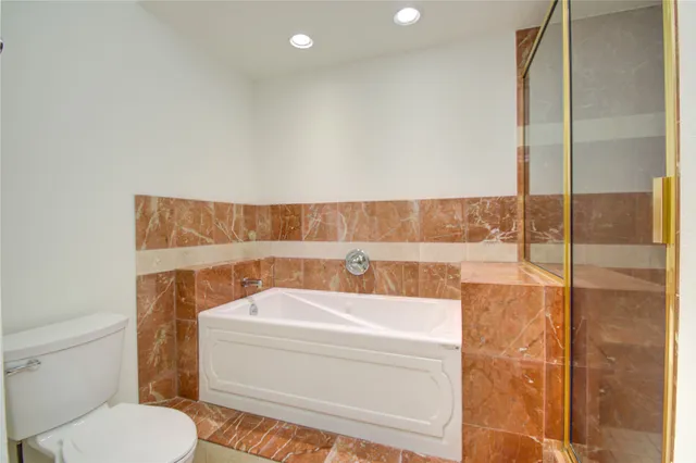 a bathroom with a toilet and a bathtub