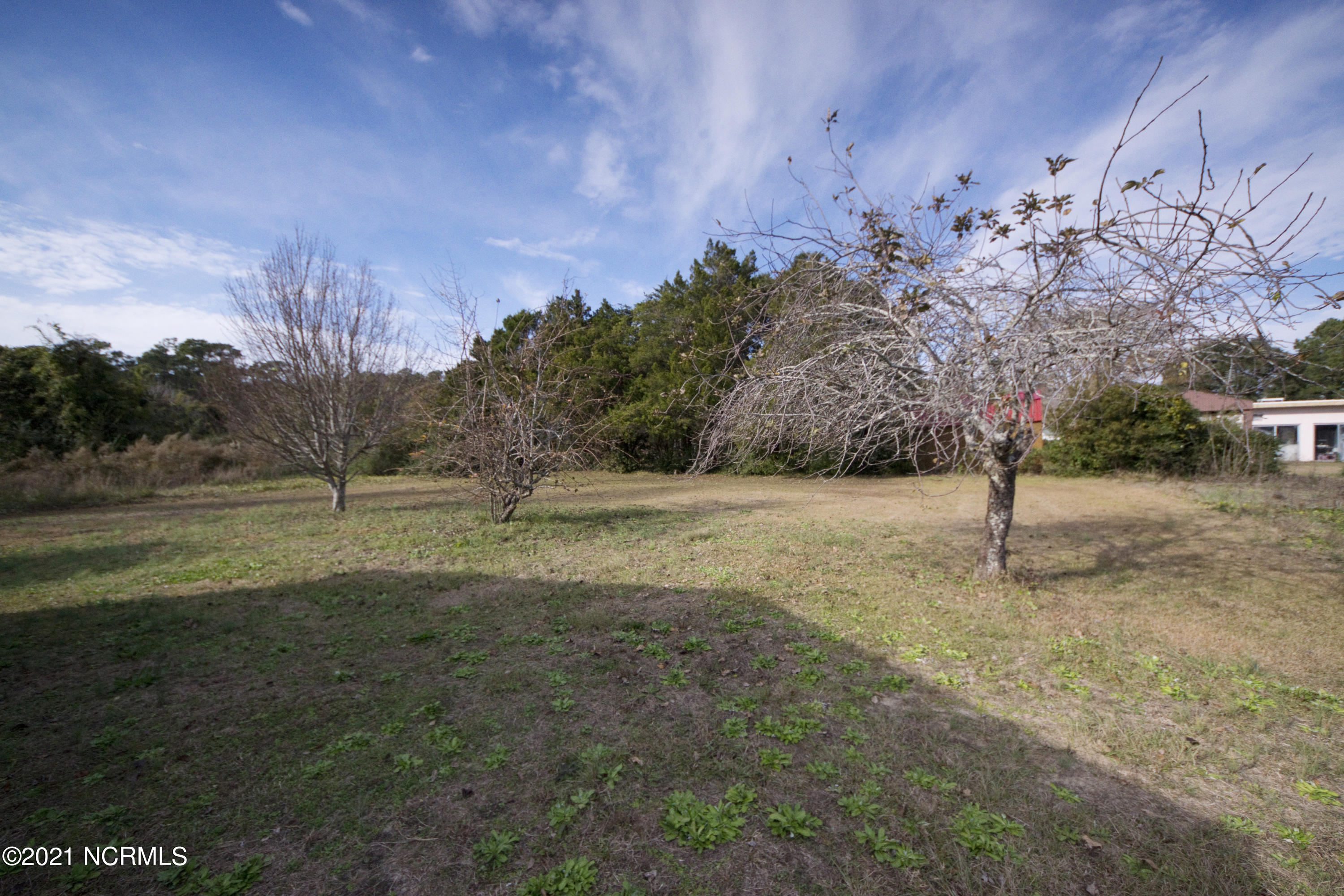 241 Shore Road Newport, NC 28570 - Photo 33 of 36 Fruit Trees