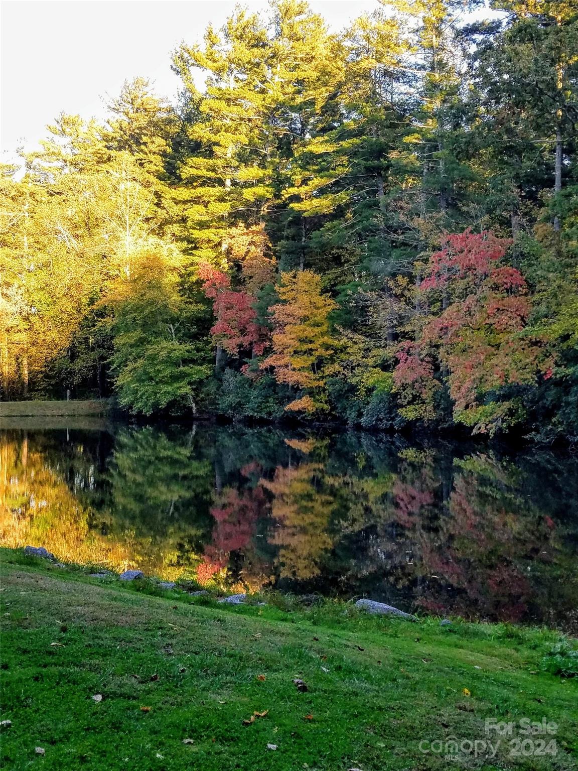 894 Weston Road, Unit 5 Arden, NC 28704 - Photo 37 of 38