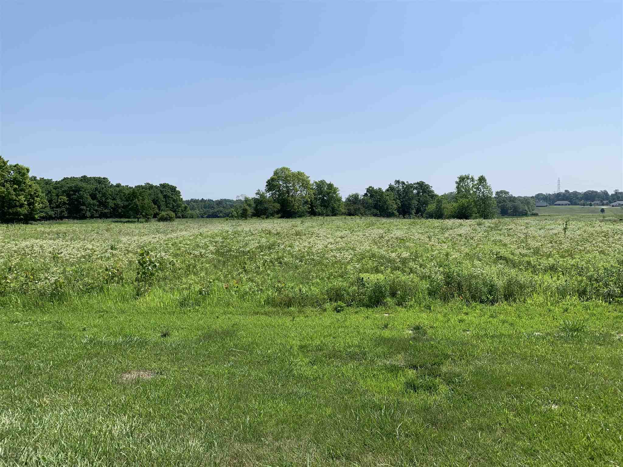 0 South Whitney Road Muncie, IN 47302 - Photo 3 of 3