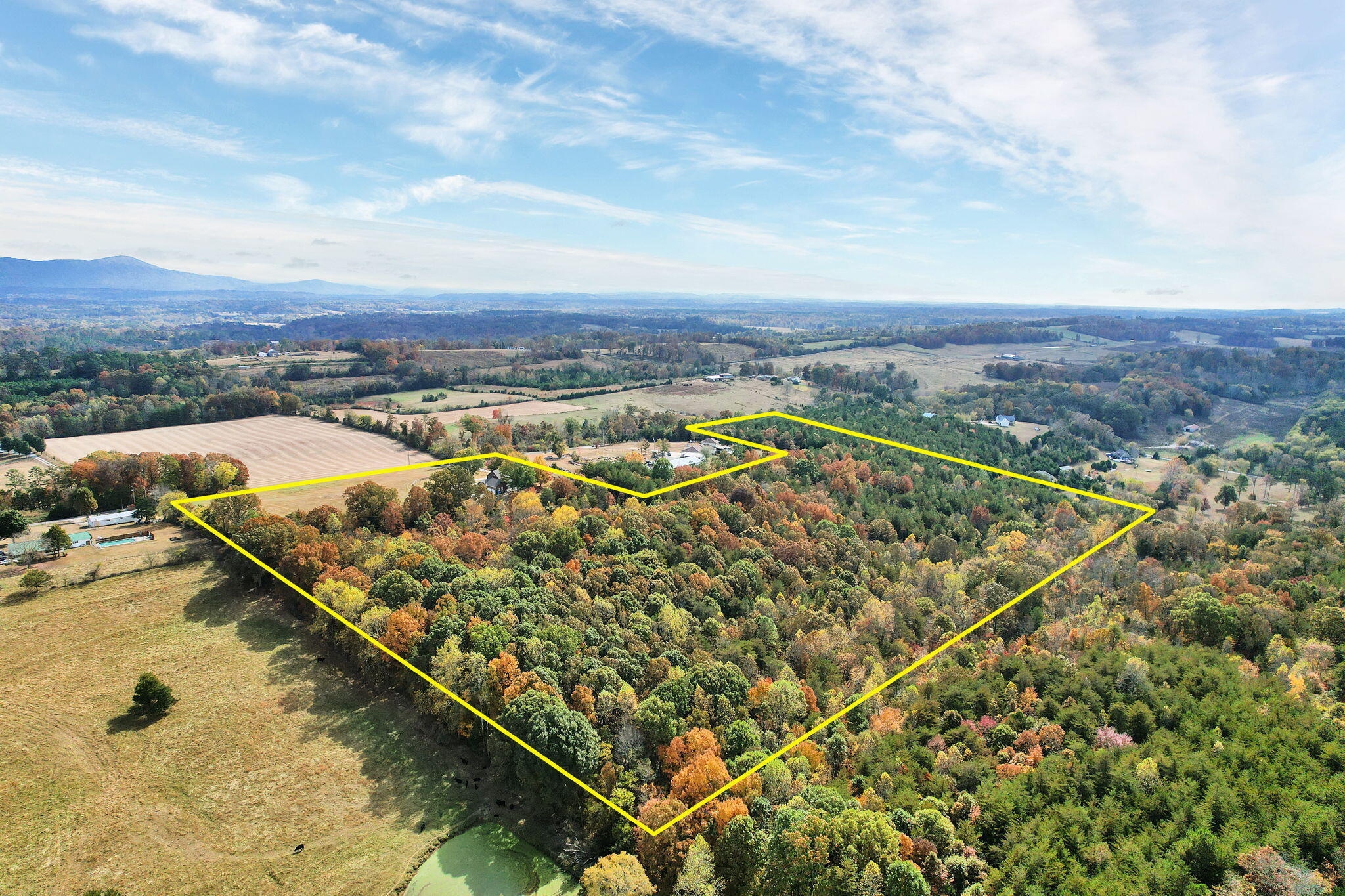 345 Morgan Road Charleston, TN 37310 - Photo 64 of 69 Property Lines