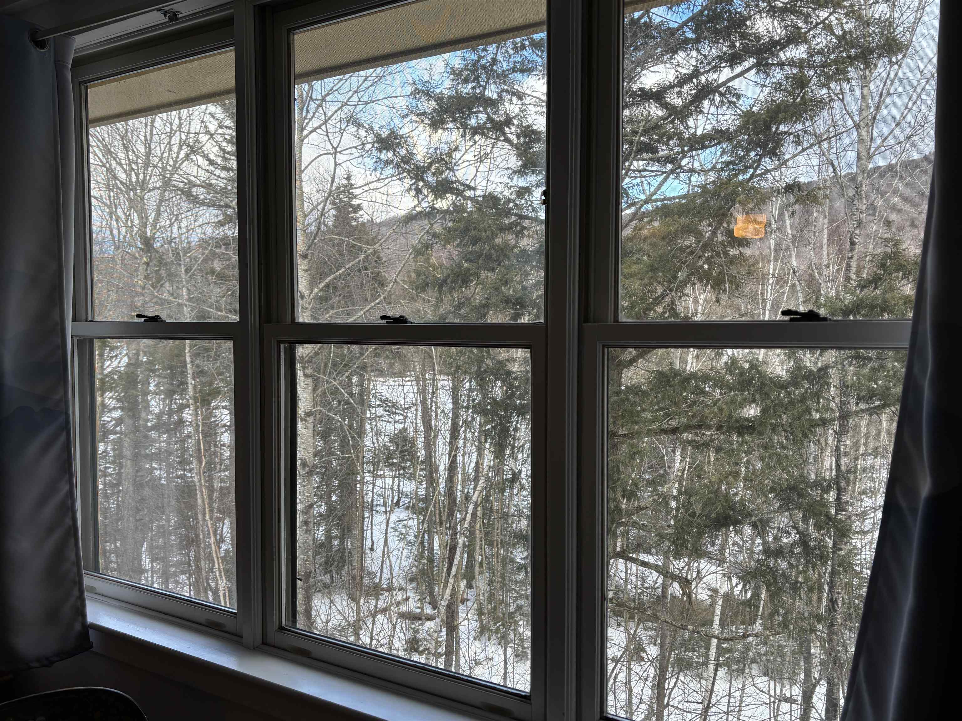 28 Packard's Road, Unit 406 Waterville Valley, NH 03215 - Photo 25 of 41