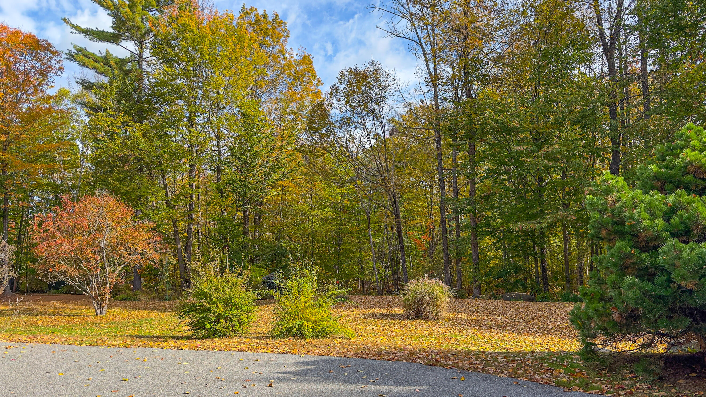 63 George Hannon Road Casco, ME 04015 - Photo 68 of 127 Front yard
