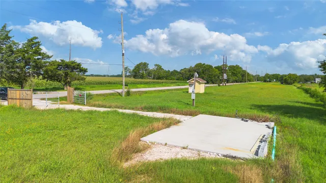 a view of a park with large trees