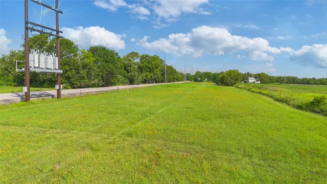a view of a big yard with a large trees