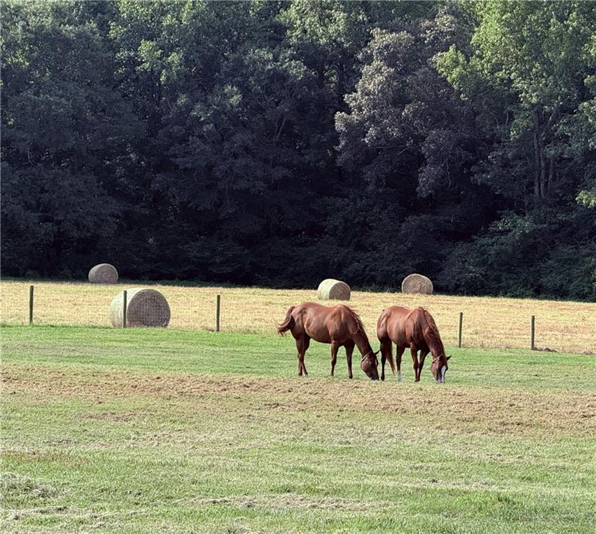 725 County Farm Road Jefferson, GA 30549 - Photo 42 of 43 a view of yard with outdoor seating