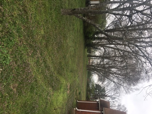 3922 Meadow Road Nashville, TN 37218 - Photo 14 of 16 Gallery Image 14