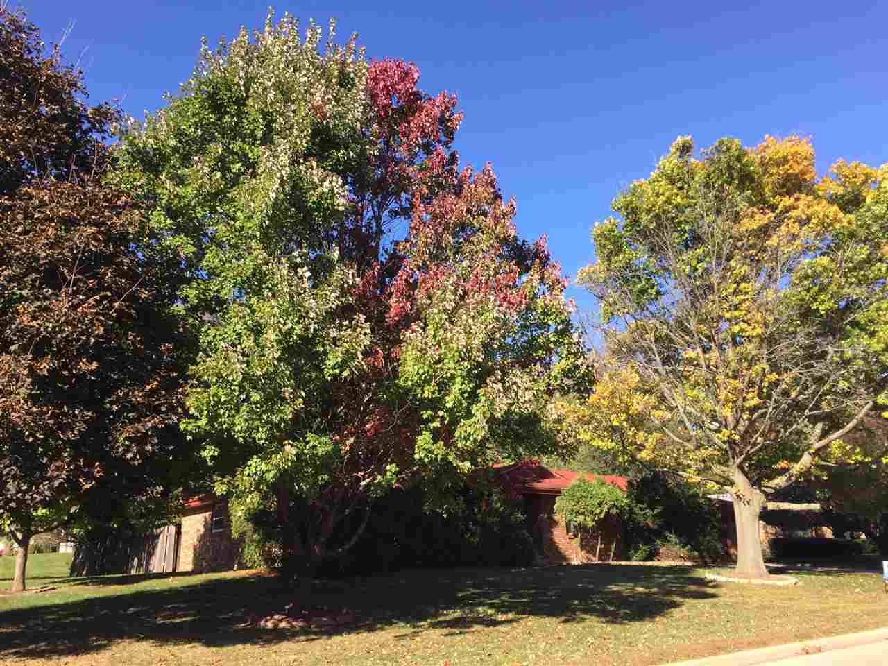 5206 Brookview Road Rockford, IL 61107 - Photo 1 of 23 a front view of a house with garden