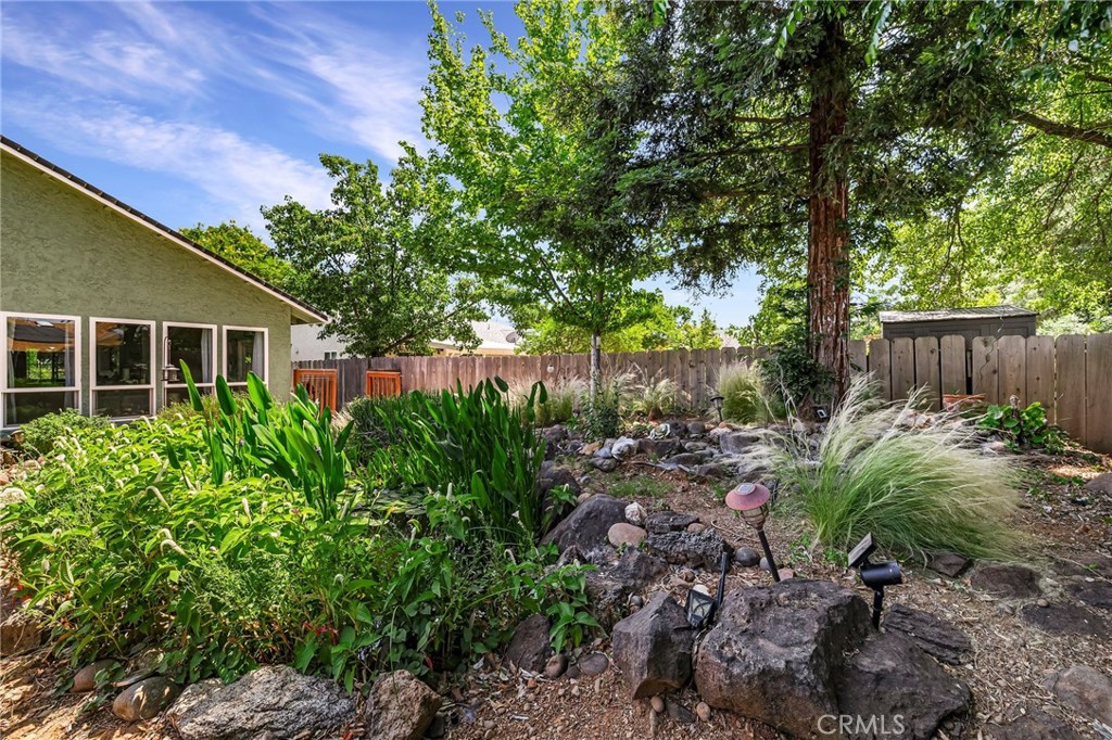 13 Avante Way Chico, CA 95973 - Photo 42 of 58 a view of a backyard with plants and a large tree