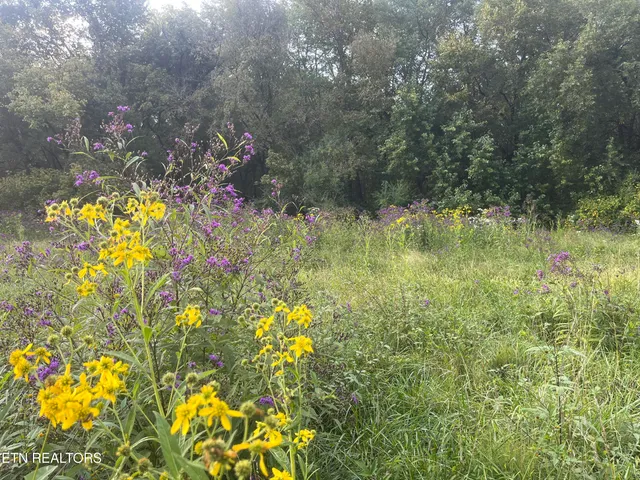 $325,000 | East Bullrun Valley Drive, Heiskell, TN 37754